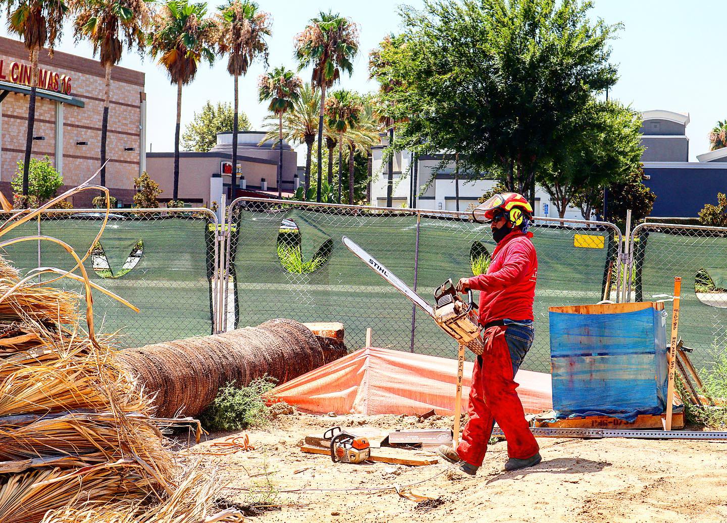 Stump Removal project by Tree Pros Inc.