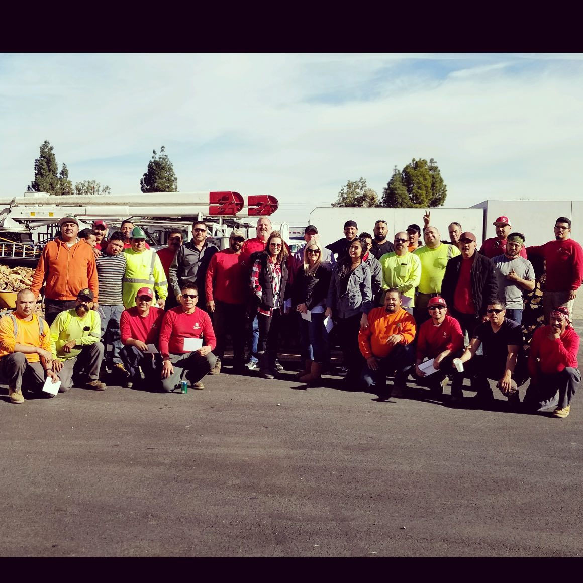 Our Team project by Tree Pros Inc.