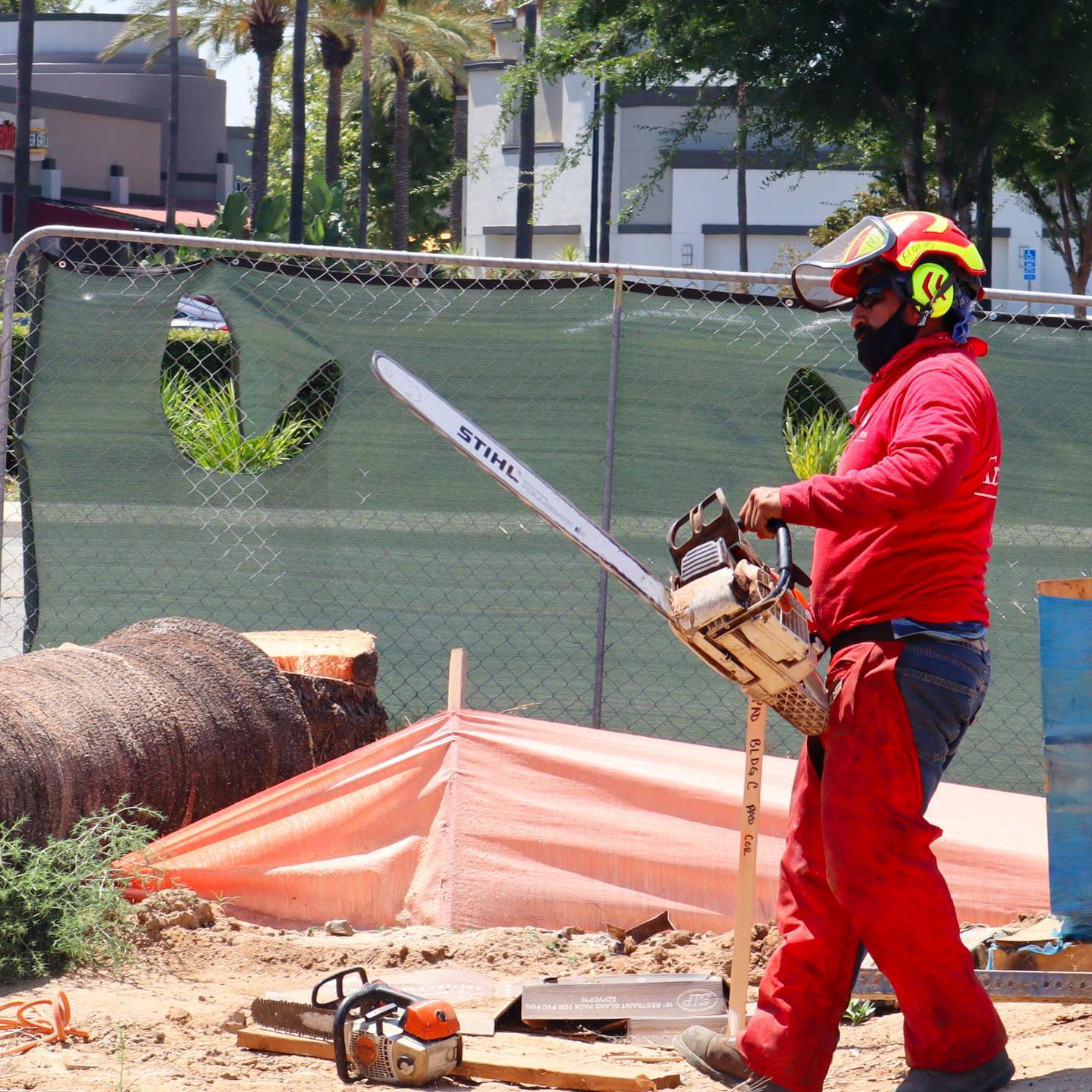 Stump Removal project by Tree Pros Inc.