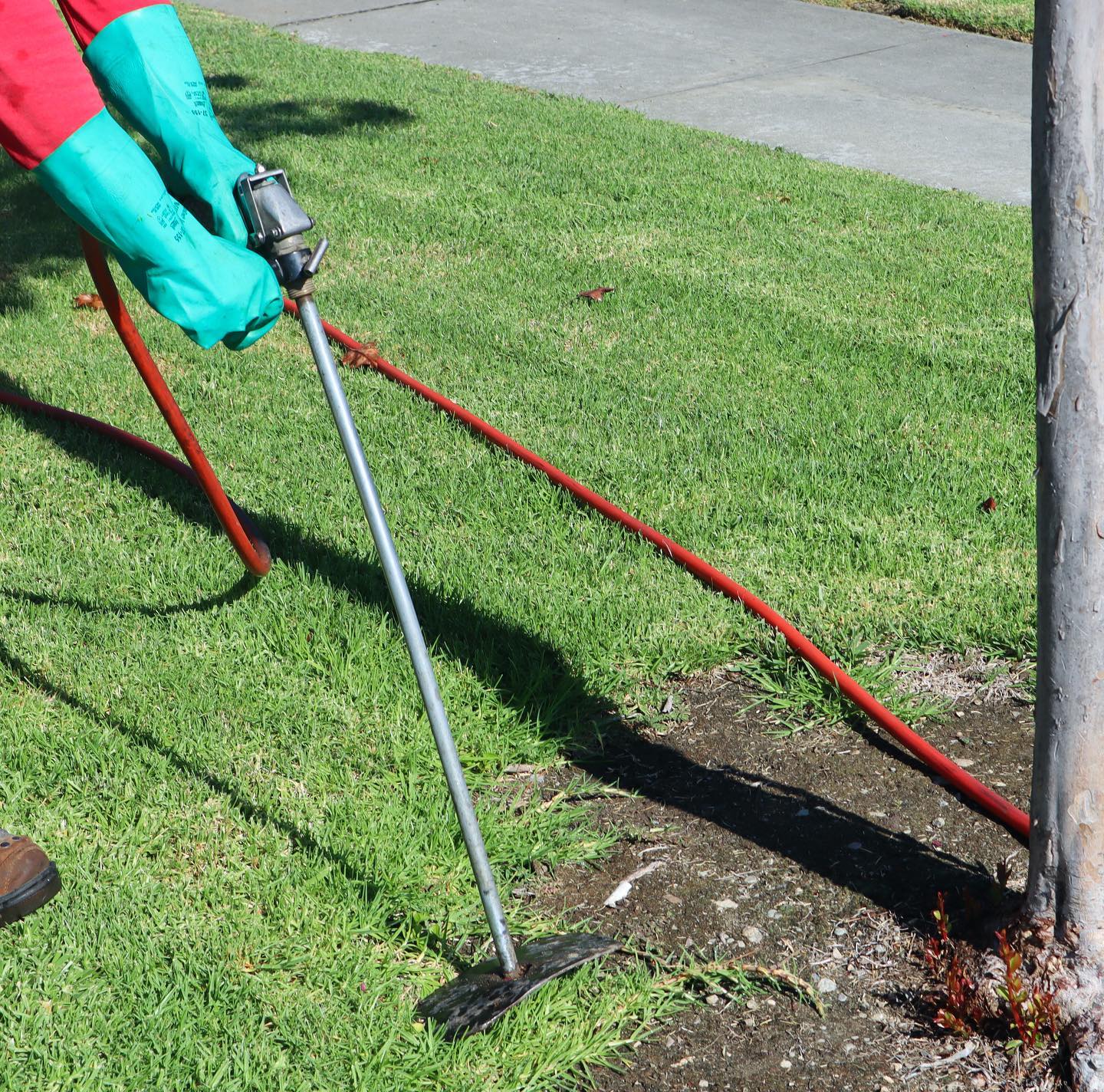 Plant Health Care project by Tree Pros Inc.