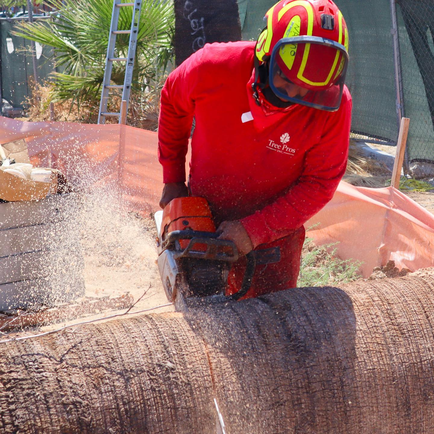 Tree Removal project by Tree Pros Inc.