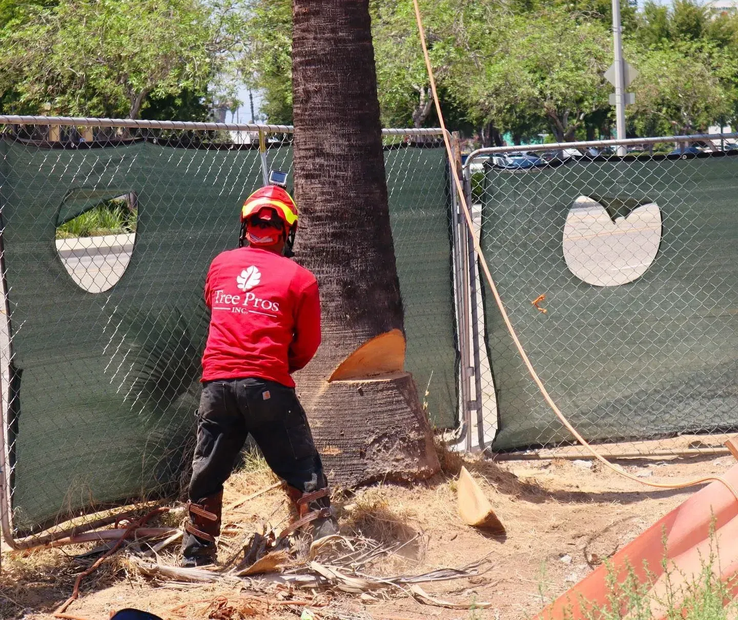 Worker in red shirt and yellow helmet cutting a tree trunk with a chainsaw near a fenced area.