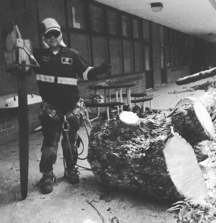 Tree Removal project by Tree Pros Inc.