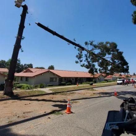 Storm-damaged street with fallen utility pole and downed lines beside red-roofed houses