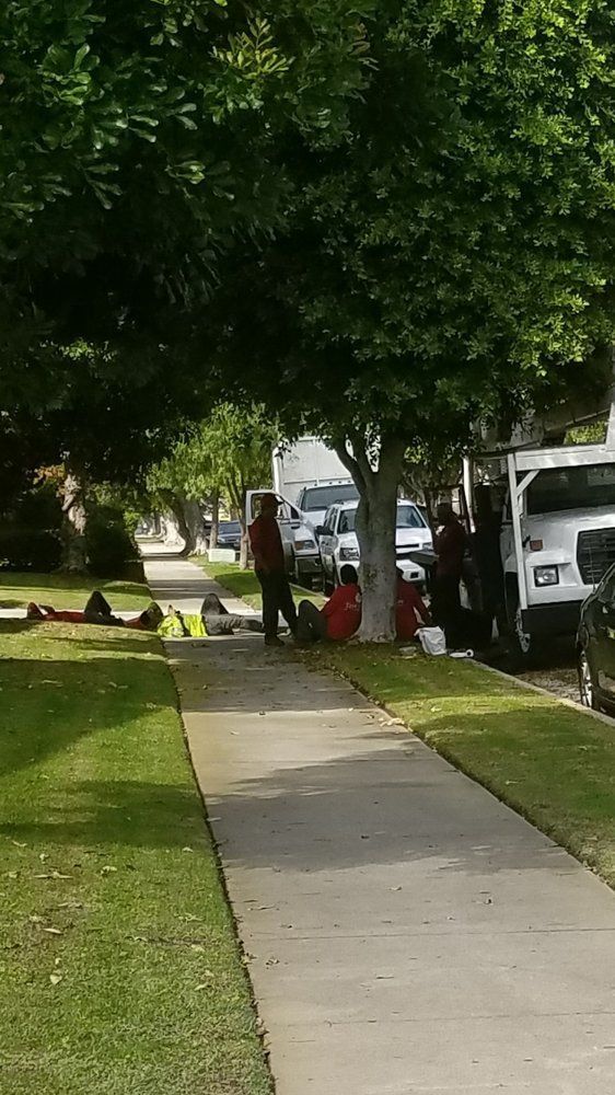 Tree-lined sidewalk with several people gathered near parked cars on a residential street