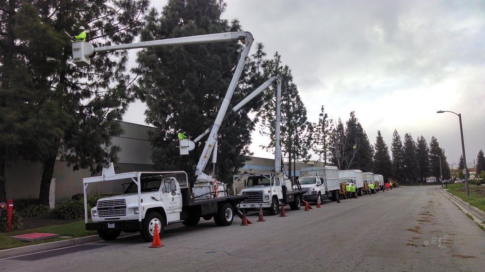 Utility trucks with raised bucket lifts lined up along a residential street, cones marking the work area.