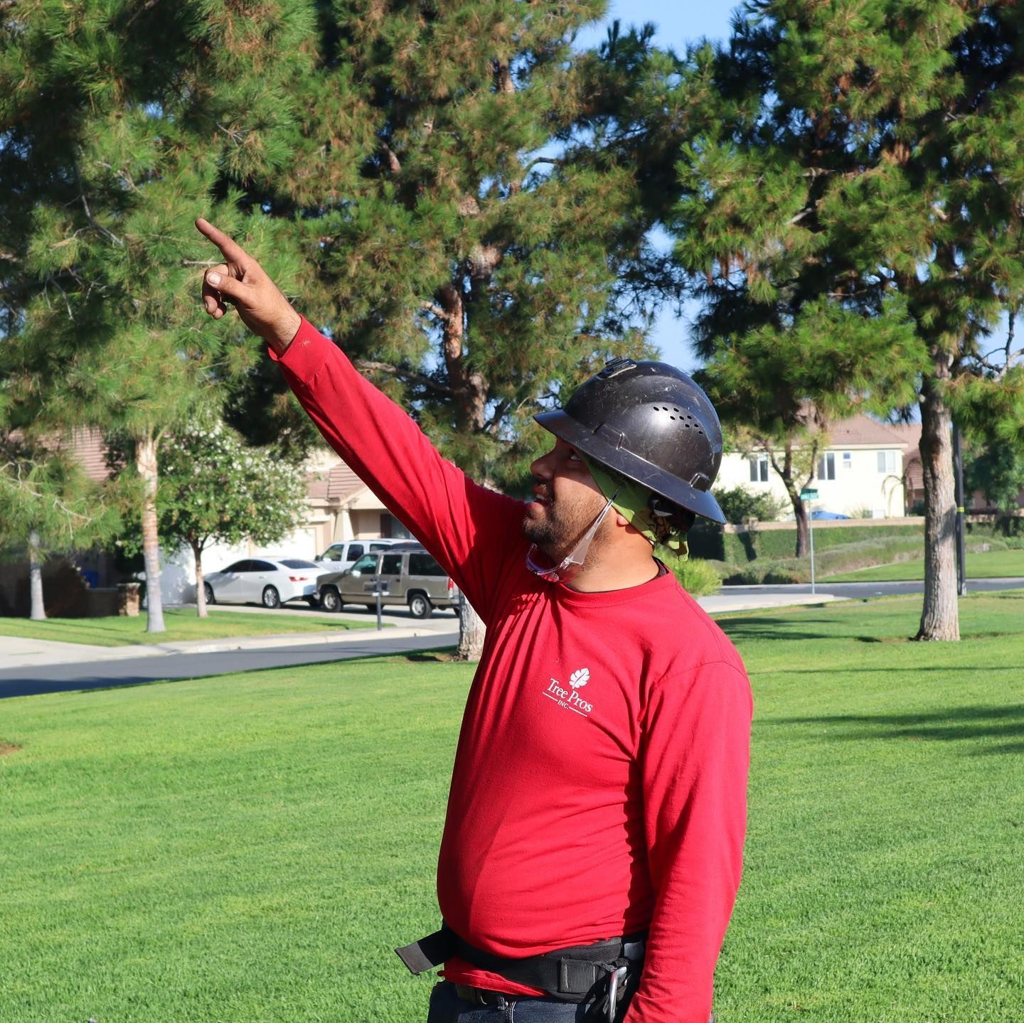 Person in red shirt and black hat pointing upward in a grassy park with trees and houses in the background