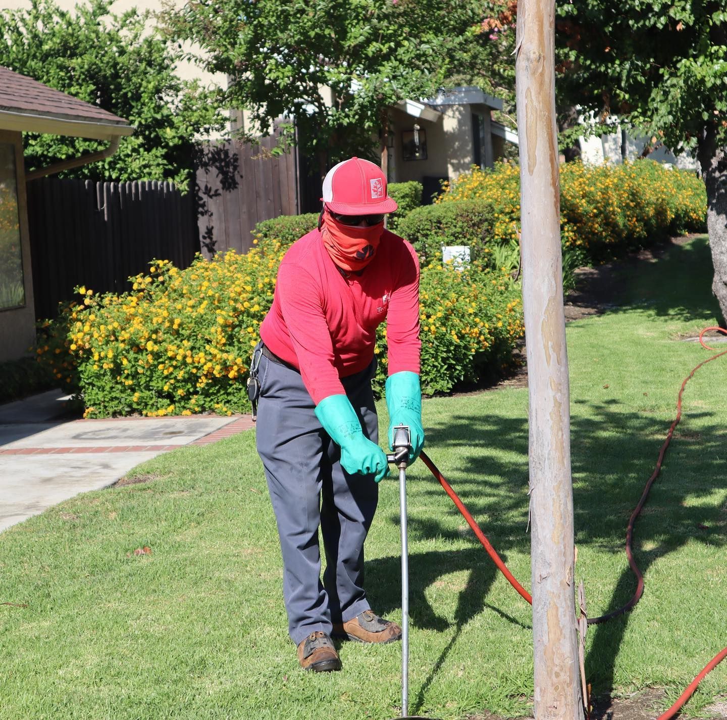 Worker in red shirt and green gloves using a tool on a lawn beside a utility pole.