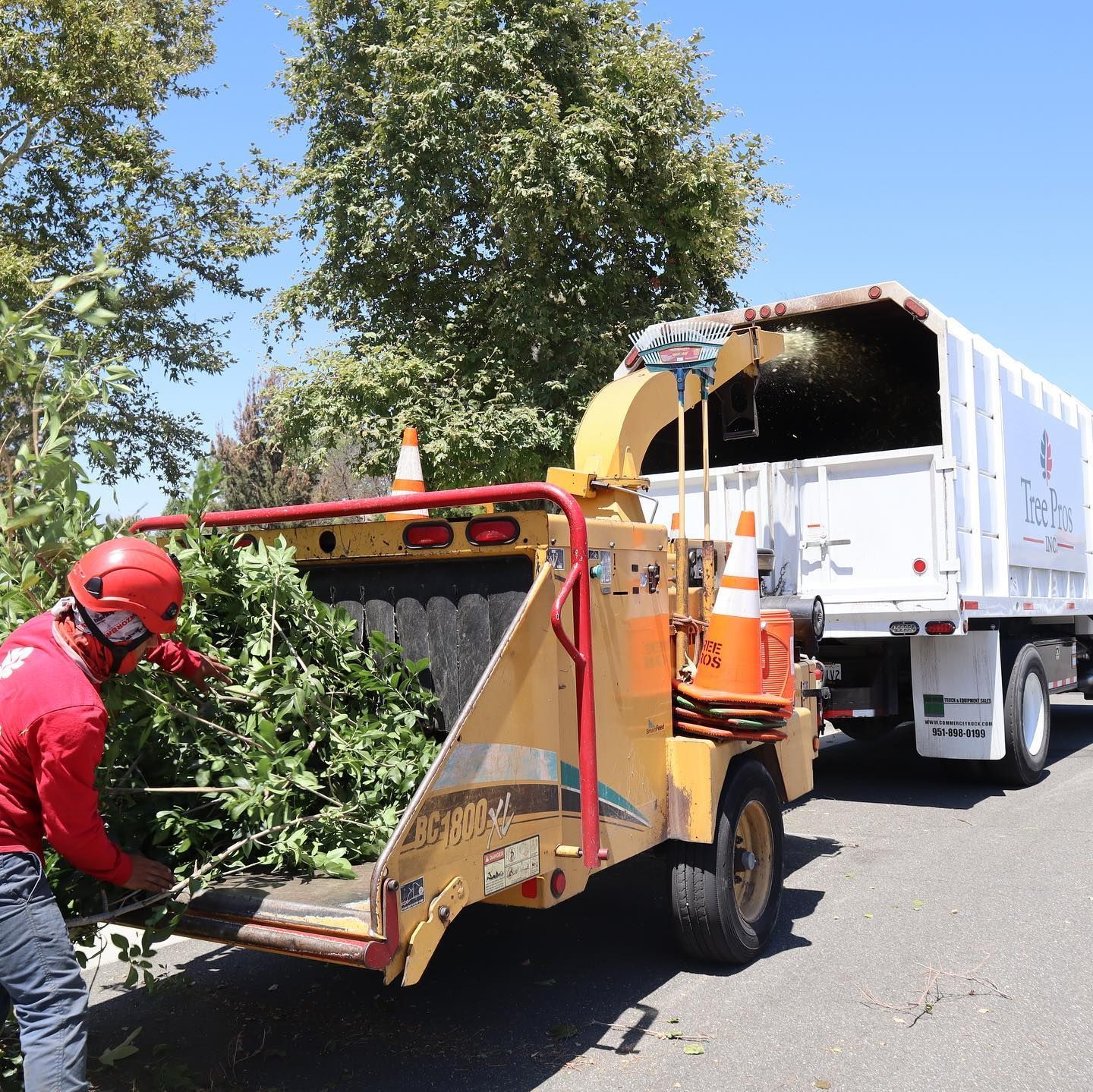 Worker in red helmet guiding a yellow chipper beside a white dump truck on a roadside