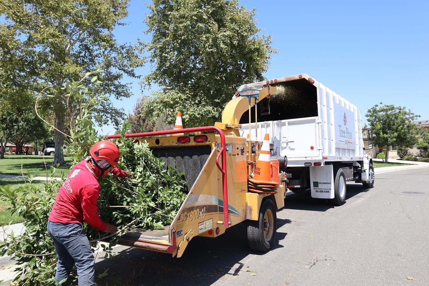 Worker in red loading yard waste into a truck on a sunny street