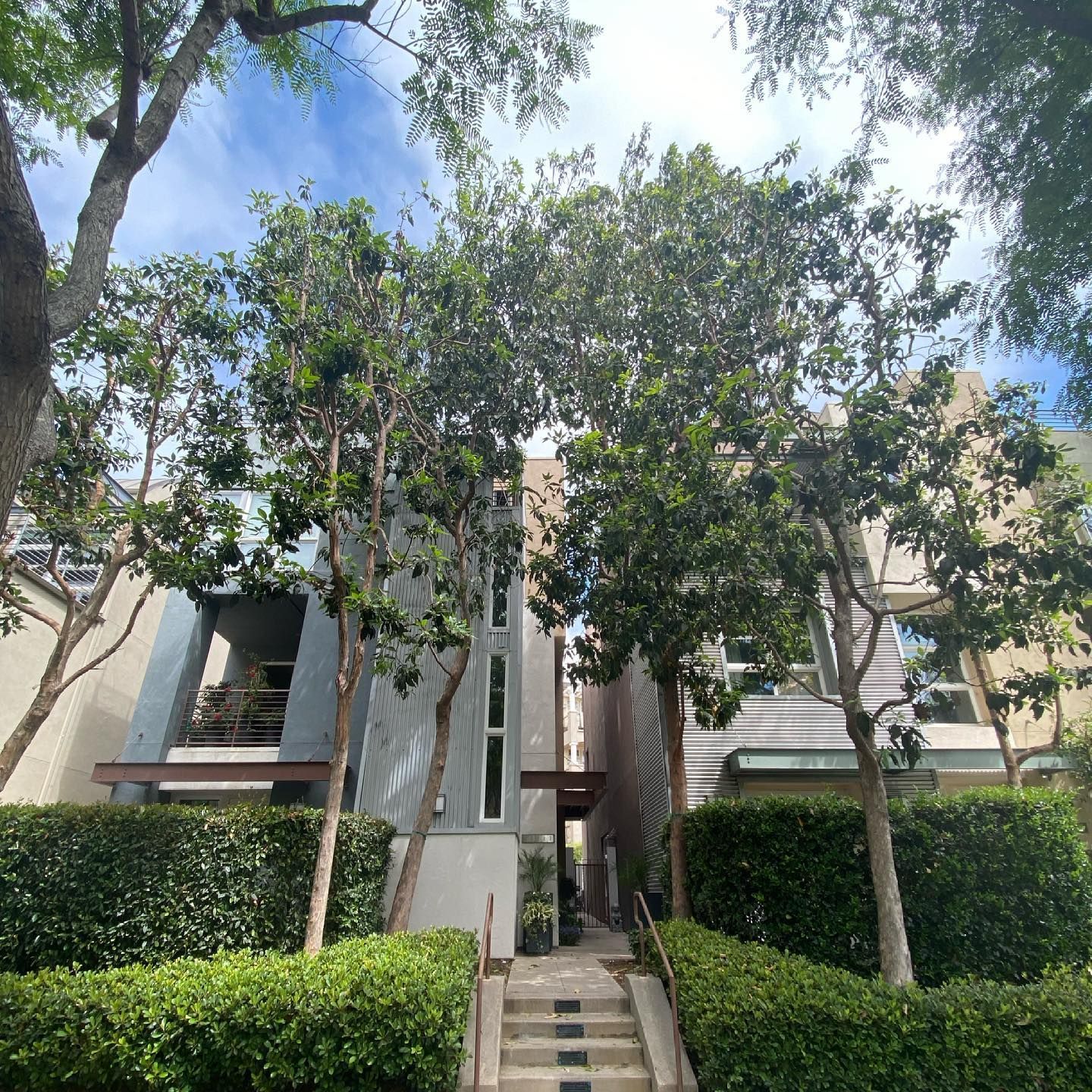 Landscaped apartment entrance with trees, hedges, and a central walkway under a blue sky
