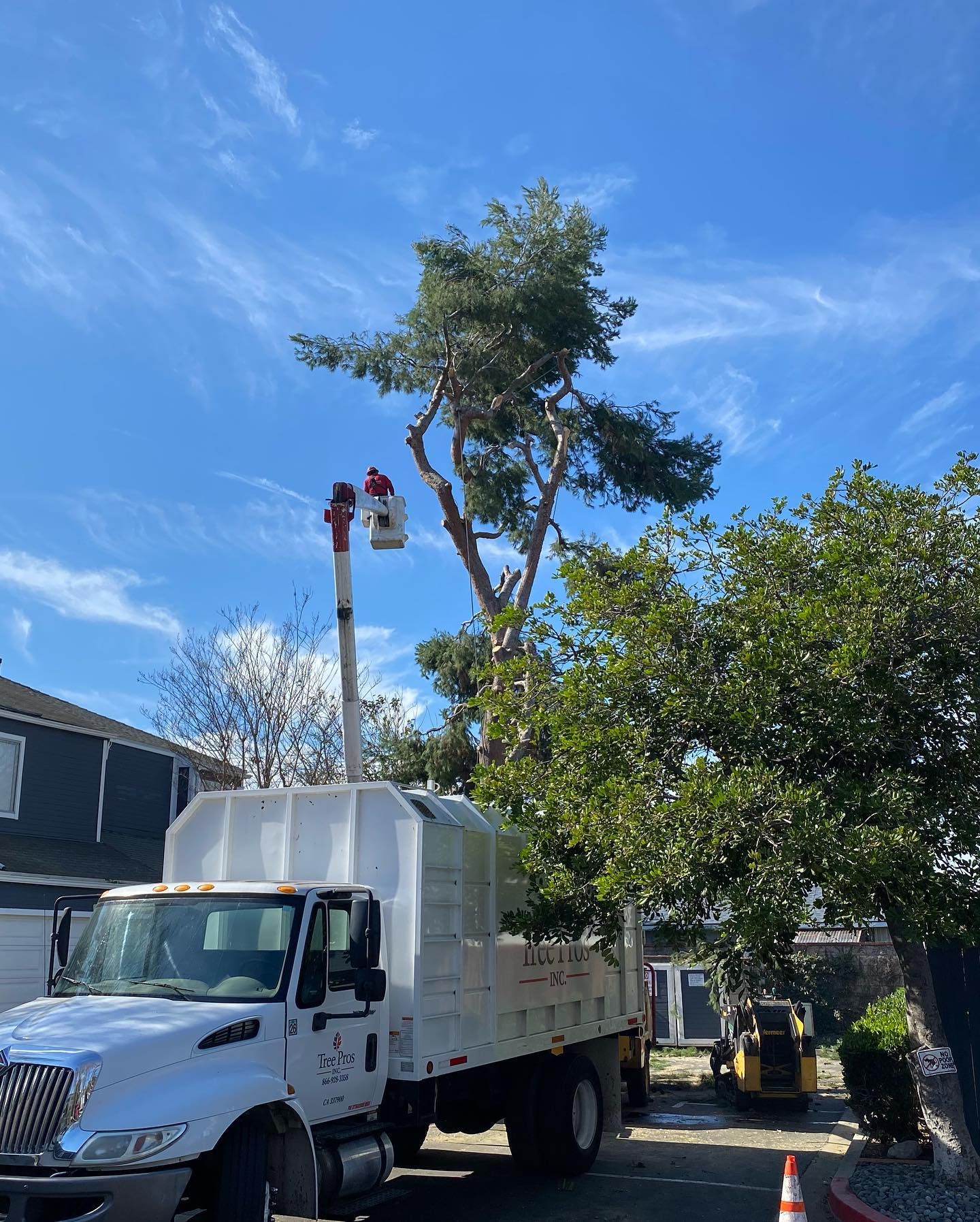 White dump truck parked by trees under a blue sky, with utility workers on a bucket lift nearby