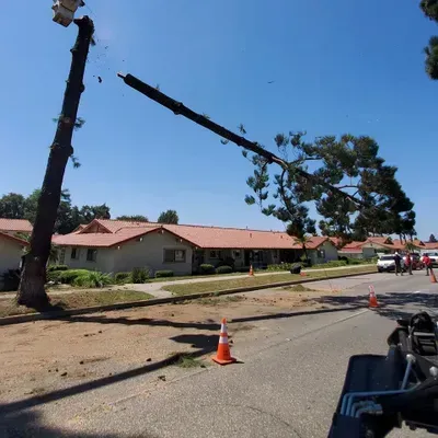 Damaged utility poles leaning over a suburban street with cones and debris under a clear blue sky
