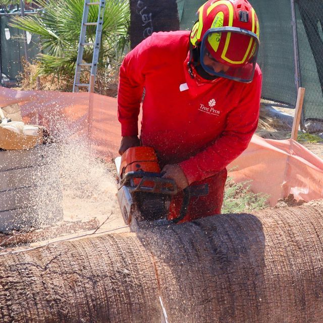Worker in red protective gear cutting a log with a chainsaw, sending sawdust flying outdoors.