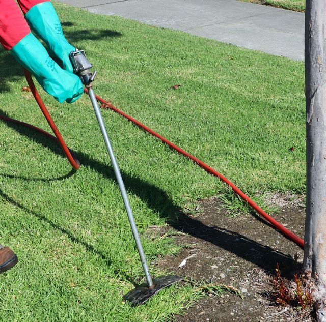 Person using a weed trimmer to cut grass around a tree in a yard
