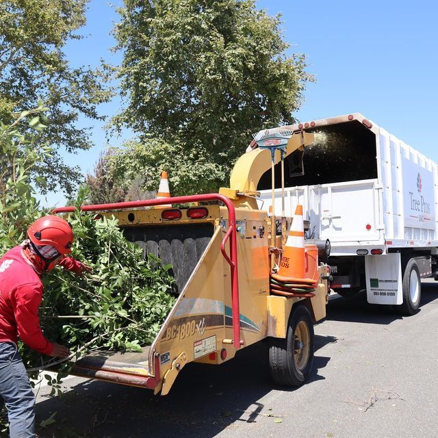 Worker in red uses a wood chipper beside a white dump truck on a tree-lined road.
