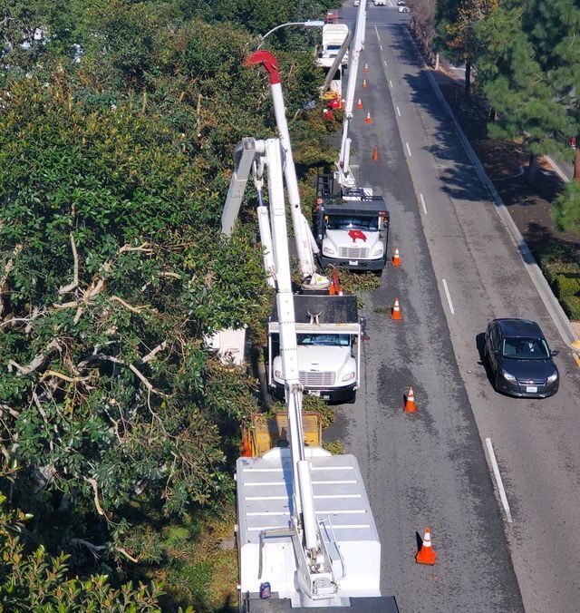 Aerial view of utility trucks and traffic cones on a road near trees, with a bucket truck extended overhead.