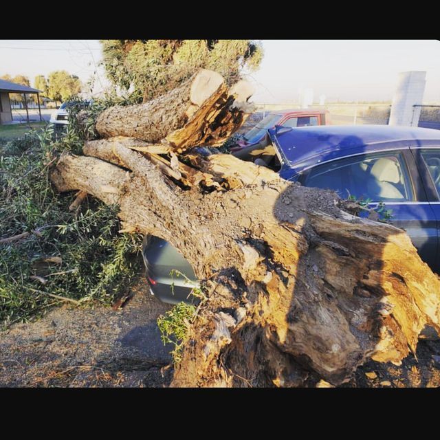 Large fallen tree branch crushed onto a blue car in a driveway, with debris scattered nearby.