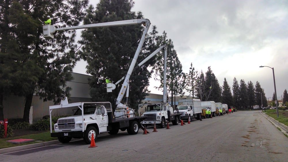 Commercial project by Tree Pros Inc.