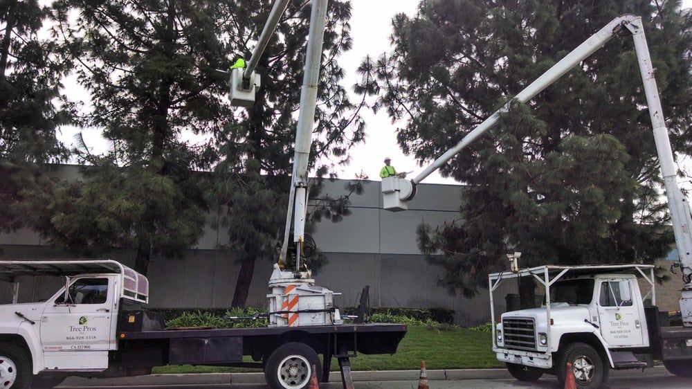 Commercial project by Tree Pros Inc.