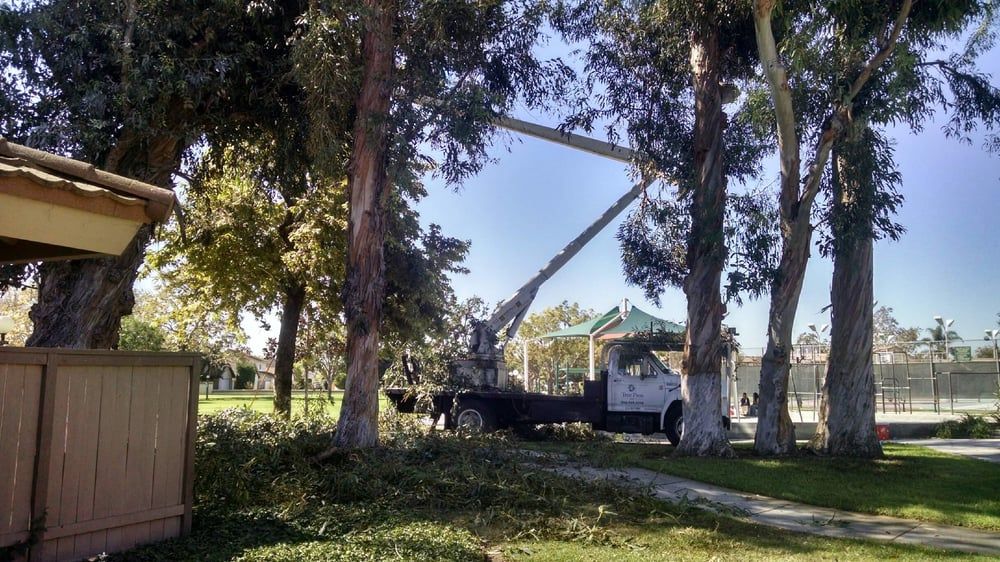 Tree Trimming project by Tree Pros Inc.