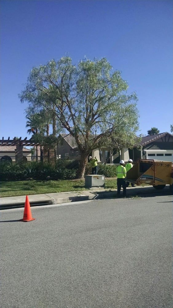 Tree Trimming project by Tree Pros Inc.
