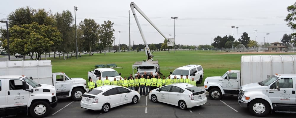Our Team project by Tree Pros Inc.