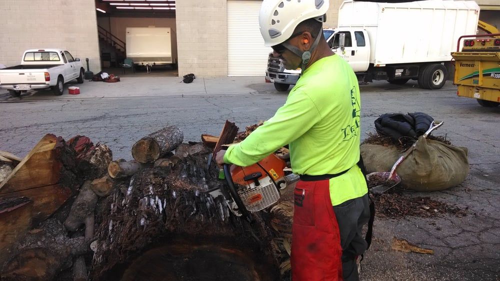 Tree Removal project by Tree Pros Inc.