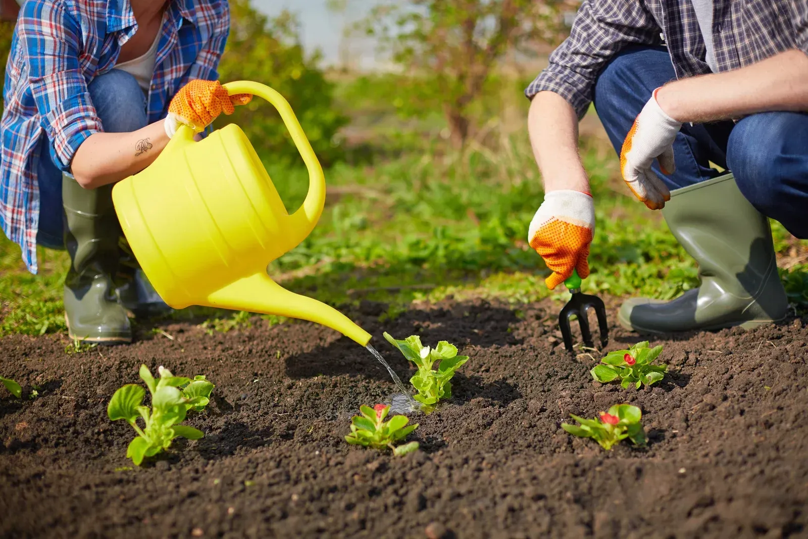Two gardeners in plaid shirts and boots tend to soil; one waters small plants with a yellow can, the other uses a rake.