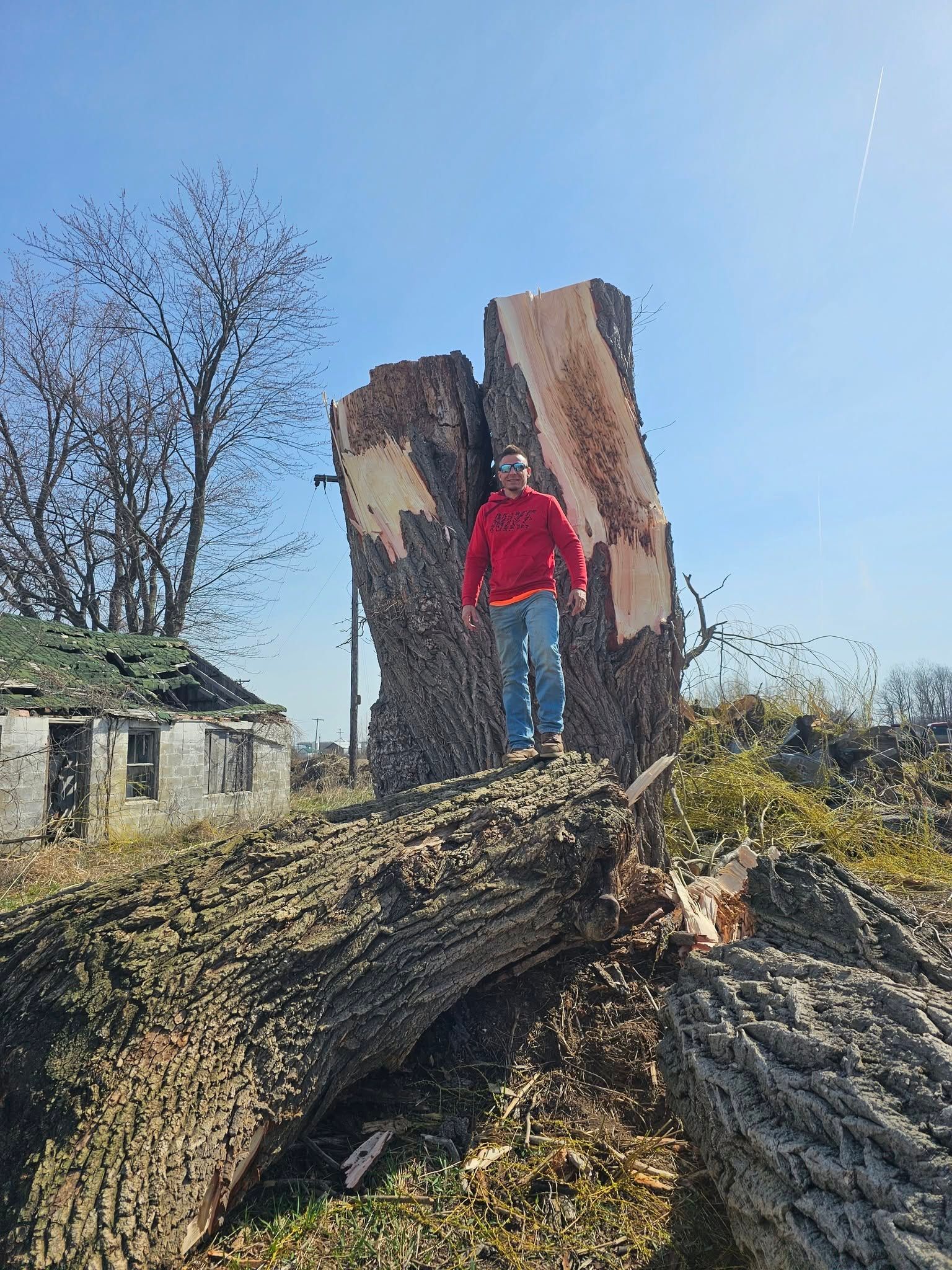Person in a red jacket standing on a large fallen tree trunk near a broken brick structure outdoors.