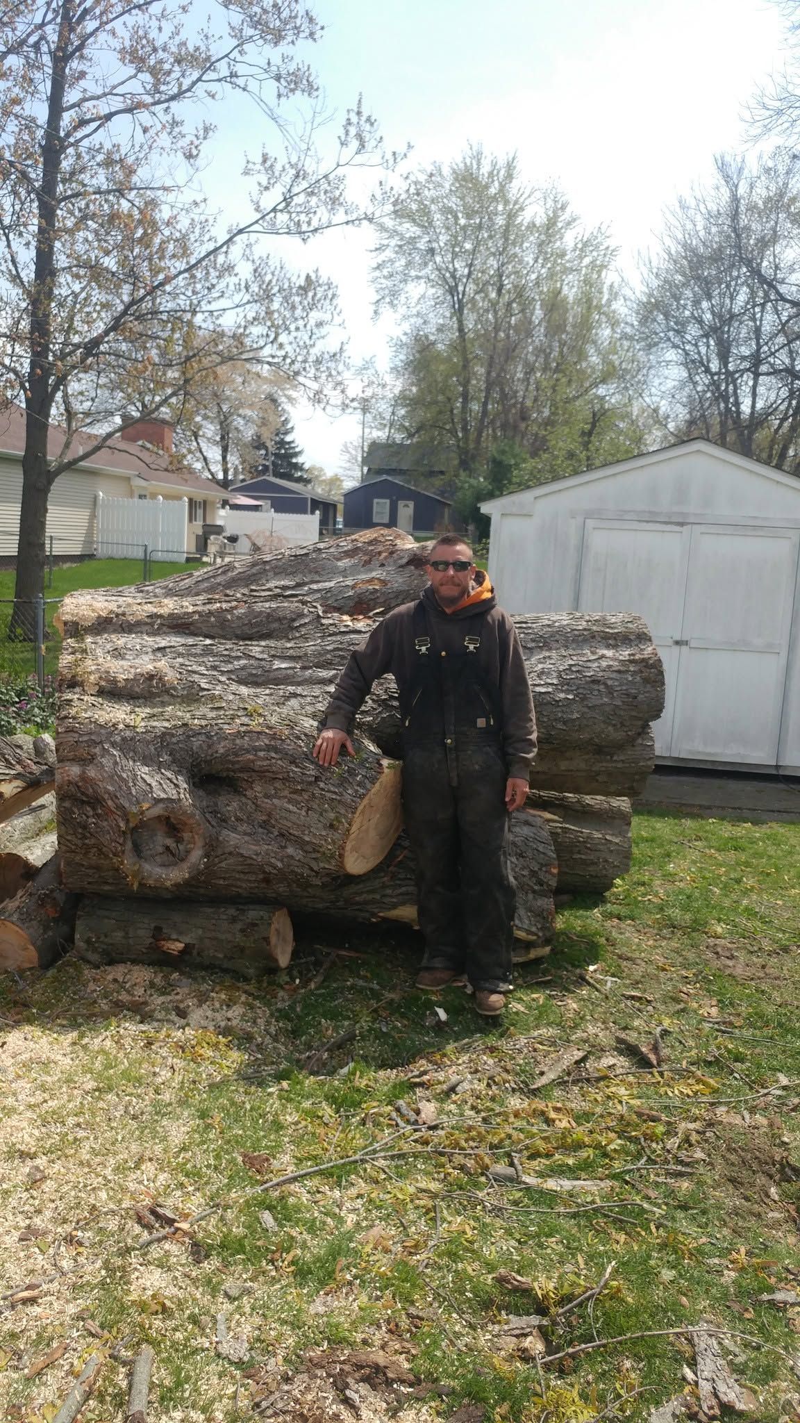 Person standing on stacked logs beside a shed in a yard, wearing dark work clothes and a bright cap.