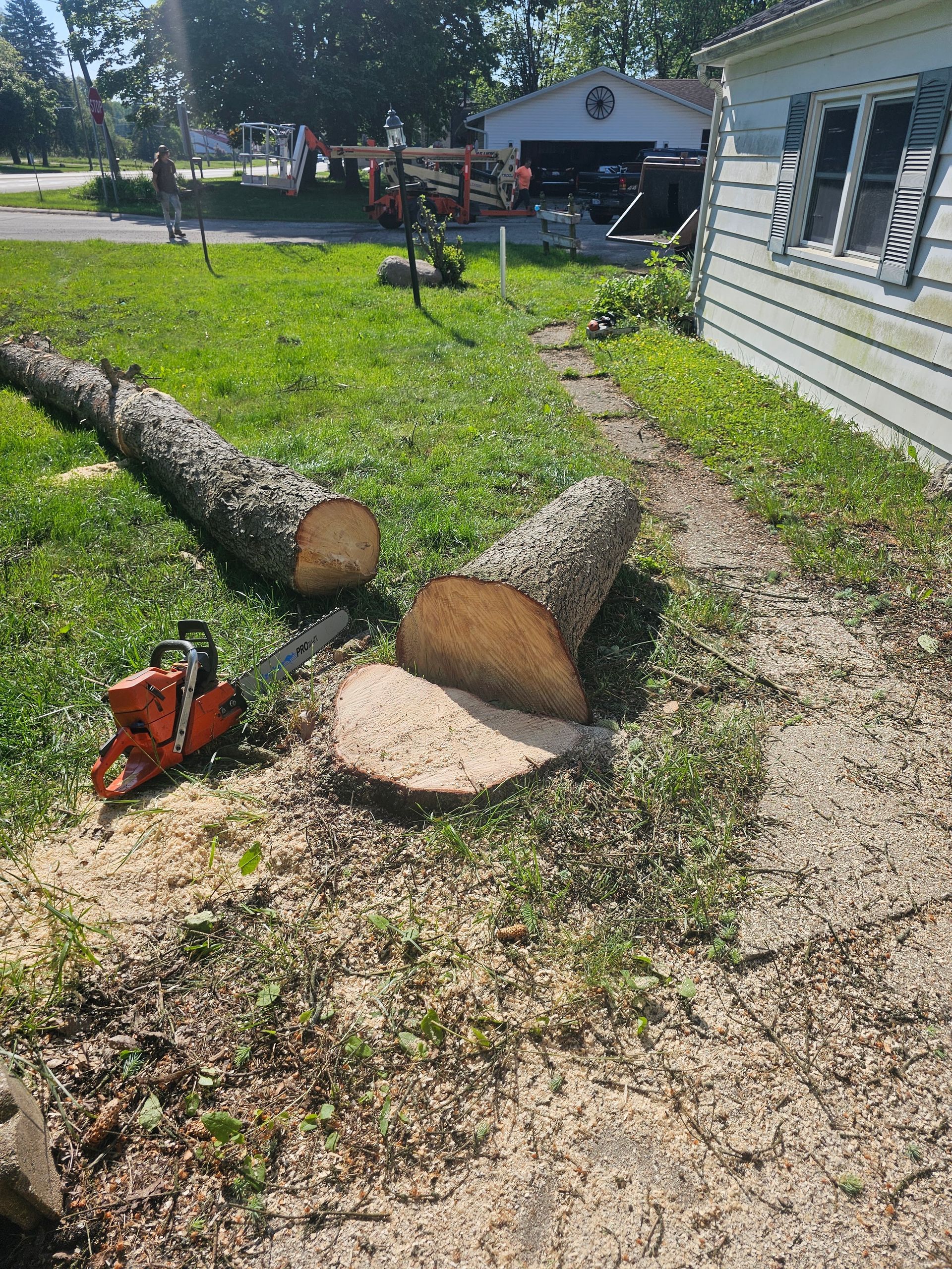 Two large cut logs on a lawn beside a house, with a chainsaw in the foreground and a path through the grass.