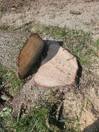 Brown rock beside a light concrete slab on sandy ground with patches of grass
