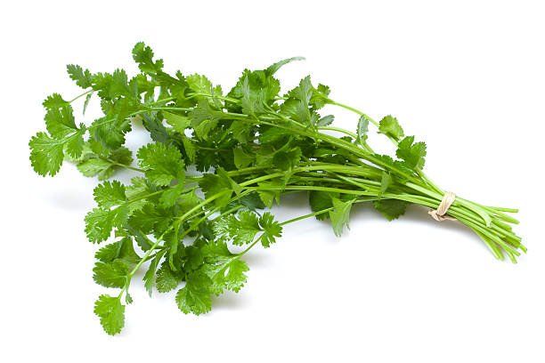 coriandolo