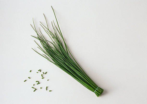 erba cipollina