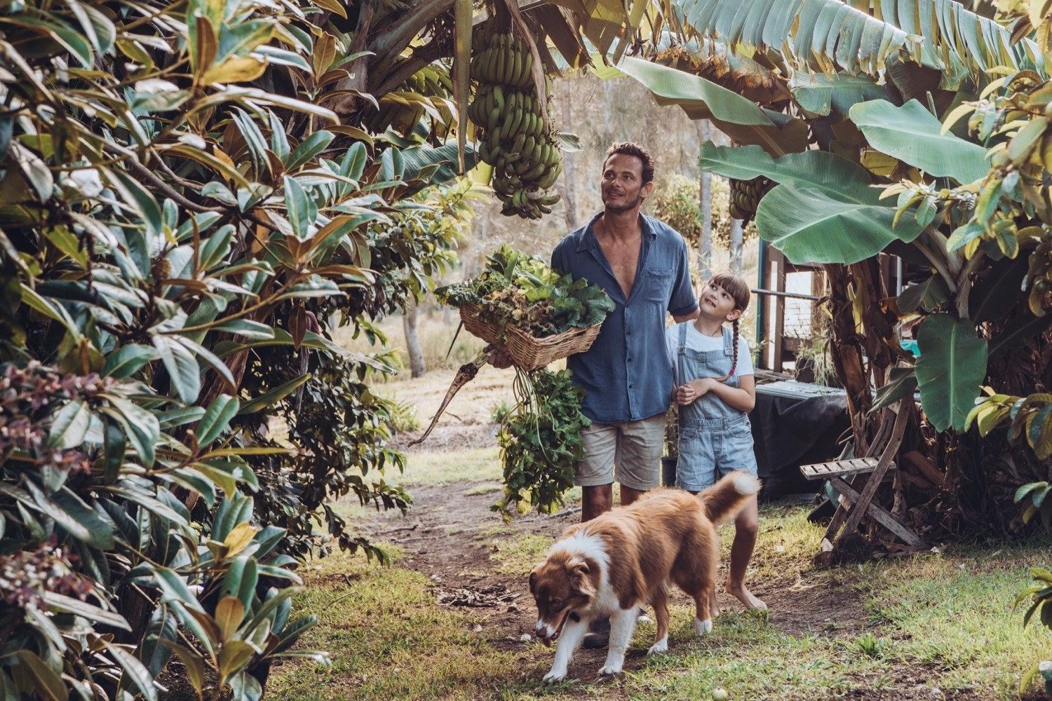 A man and a boy are walking a dog in a garden.