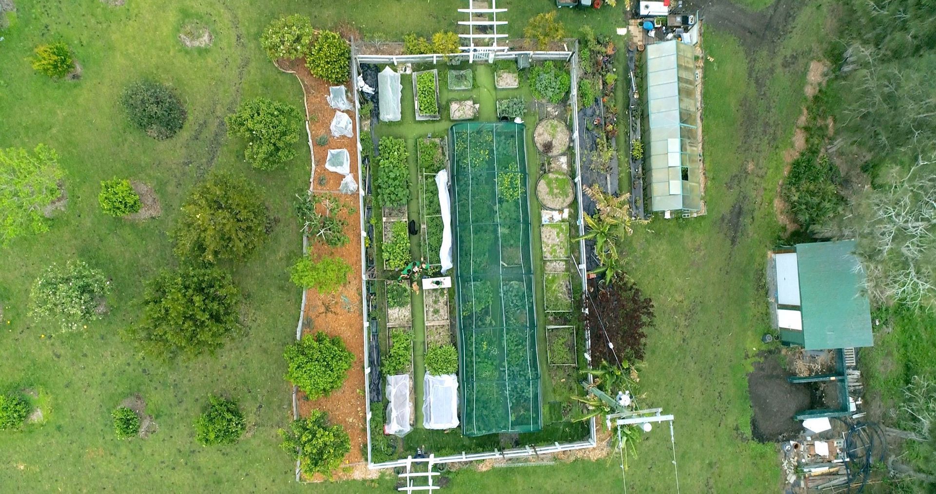 An aerial view of a garden filled with lots of plants and trees.