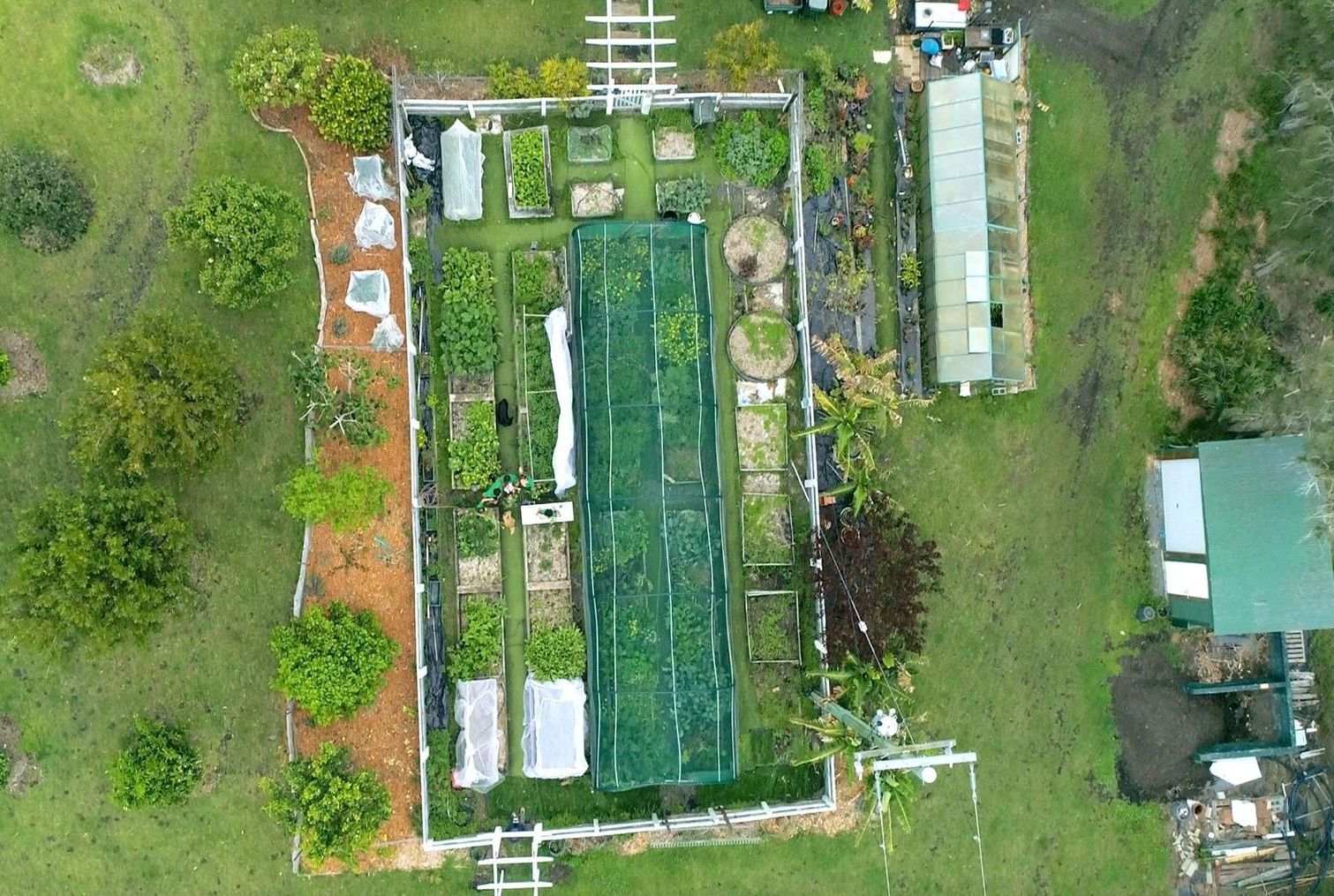 An aerial view of a large garden filled with lots of plants and trees.