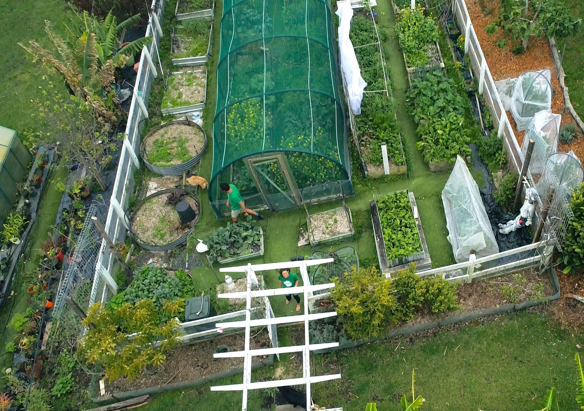 An aerial view of a garden with lots of plants and a greenhouse.
