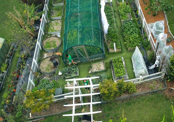 An aerial view of a garden with lots of plants and a greenhouse.