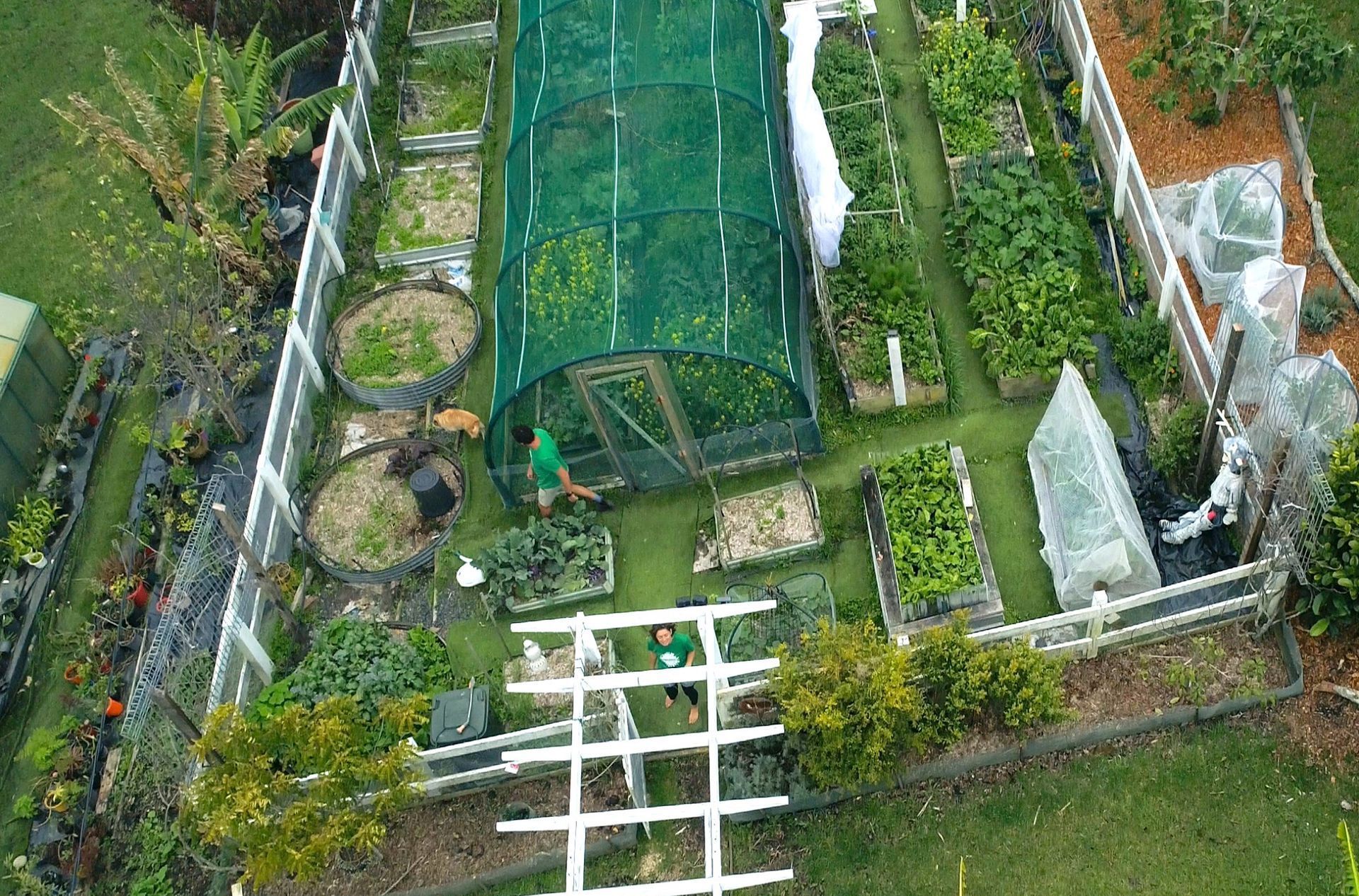 An aerial view of a garden with lots of plants and a greenhouse.