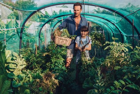 A man and a little girl are standing in a greenhouse.