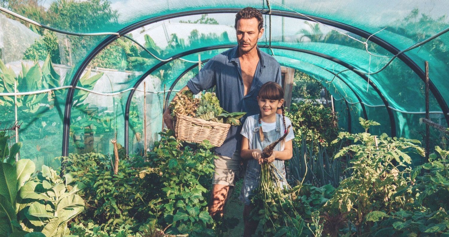 A man and a child are standing in a greenhouse.