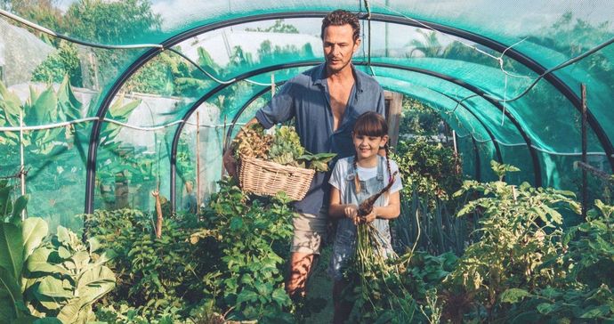 A man and a child are standing in a greenhouse.