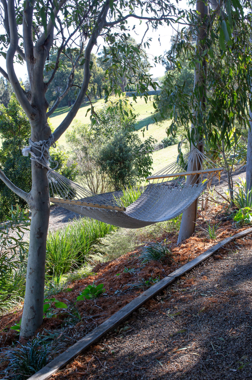 A hammock is hanging from a tree in the woods.