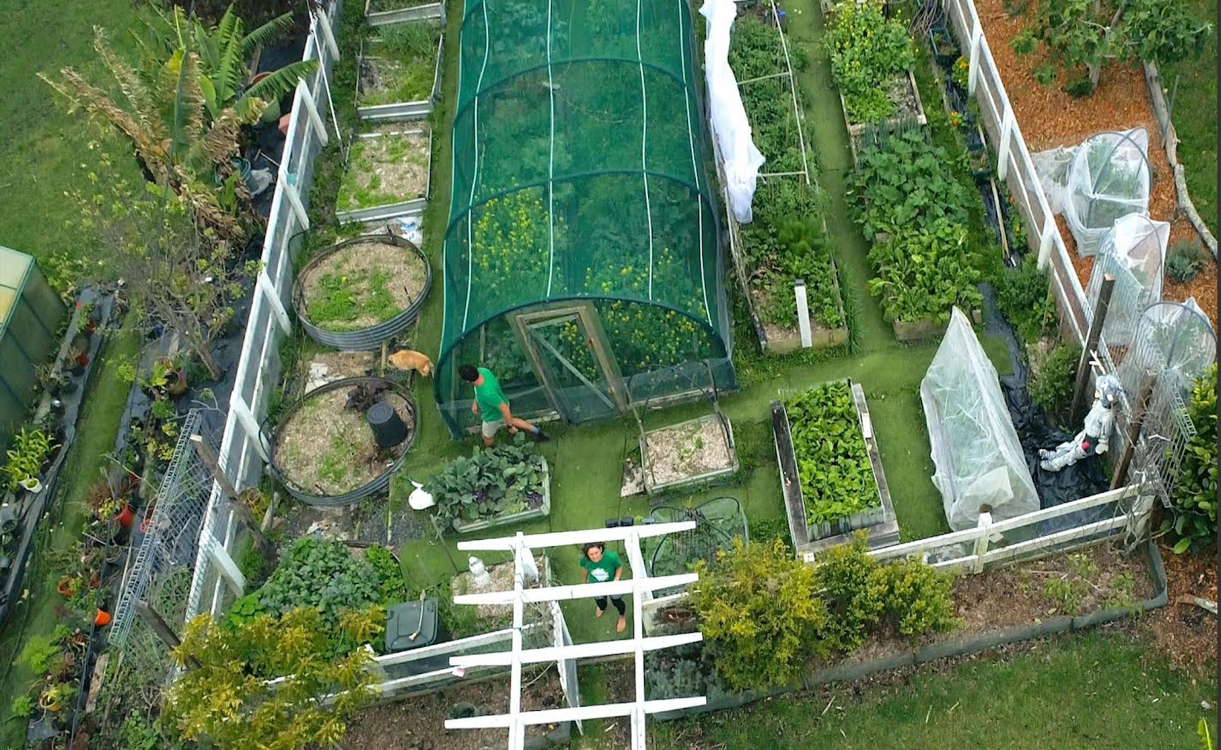 An aerial view of a garden with lots of plants and a greenhouse.