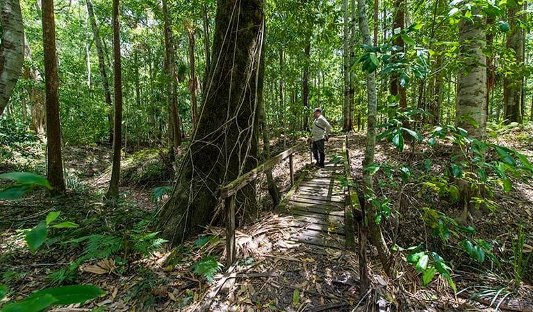 A man is walking across a wooden bridge in the woods.