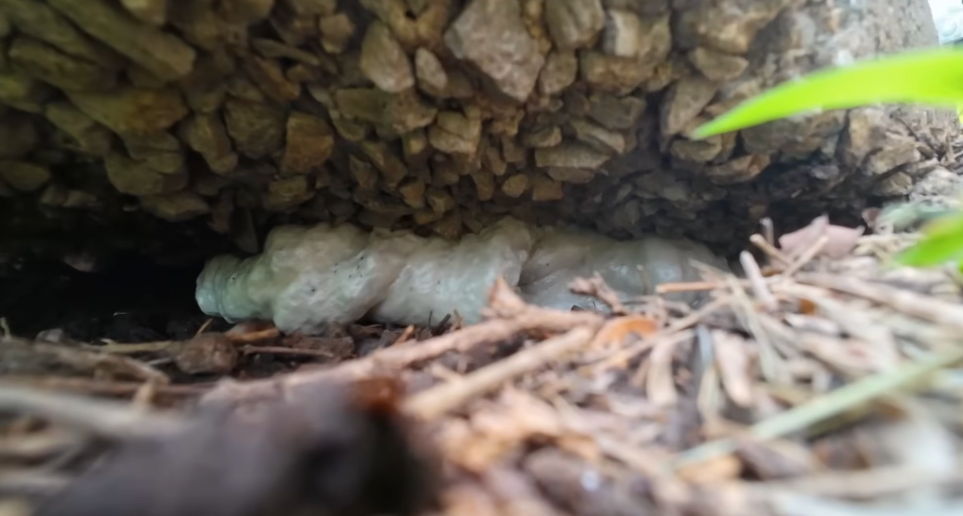 Image of gap between concrete slab and soil underneath it in Fort Worth TX