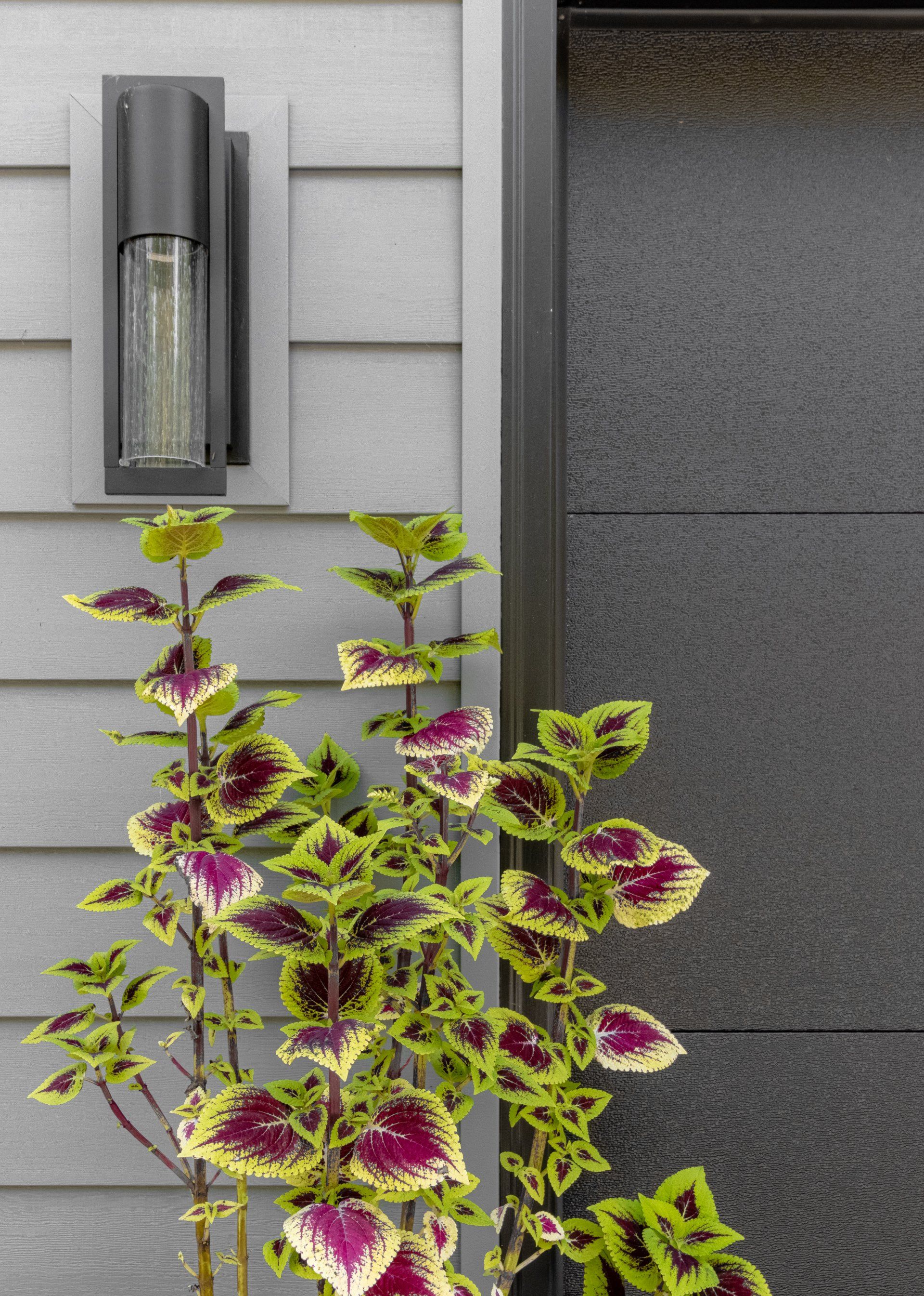 Home exterior detail - Pennsylvania home builder