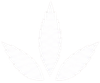 Three pale outlined leaf shapes on a white background, arranged like a simple plant emblem